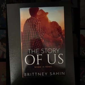The Story of Us - En romantisk bok med en varm och inbjudande omslagsbild av ett par i solnedgången. Perfekt för dig som gillar kärlekshistorier och vill drömma dig bort till nya platser. Passar unga vuxna som söker känslor och äventyr.