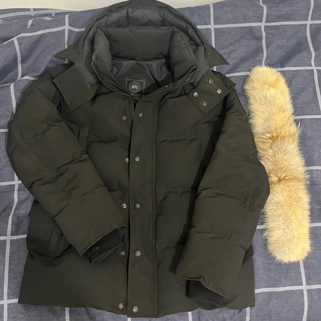 Svart dunjacka från Canada Goose