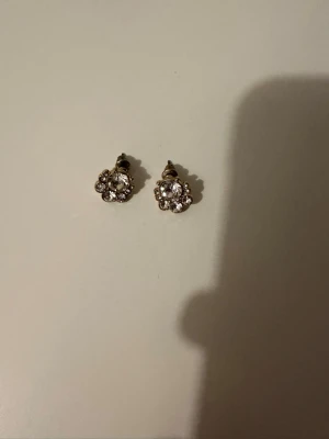 Örhängen - Köparen står för frakten!