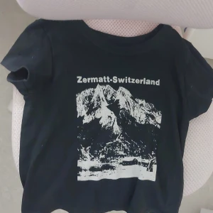 Svart t-shirt med Zermatt-Switzerland tryck - Snygg svart t-shirt från Brandy melvile  ganska liten i storlek 