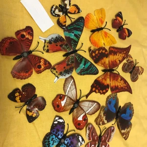 Färgglada fjärilsdekorationer / Vägg / Gardiner / Kylskåpet Dekoration  - Säljer ett set med färgglada fjärilsdekorationer i olika mönster och färger. Perfekta för att liva upp vilket rum som helst med sina livfulla nyanser av rött, grönt, blått, gult och mer. Varje fjäril har unika detaljer och mönster som gör dem till en vacker samling. 89kr/12st /paket, helt ny 