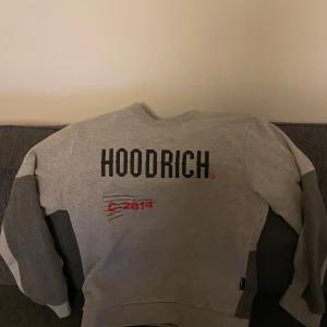 Grå sweatshirt från Hoodrich - Ej så flitigt använd