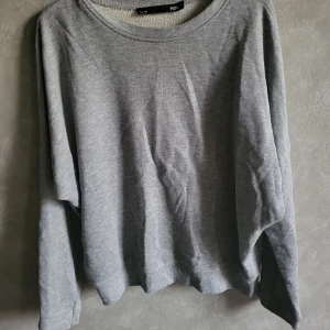 Grå tröja från 157 - Säljer en enkel och stilren grå tröja från 157. Tröjan har en rund halsringning och långa ärmar, perfekt för en avslappnad look. Passar bra till både jeans och kjol.