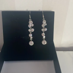 Glittriga silverörhängen med stenar - Säljer ett par eleganta och glittriga silverörhängen med flera runda stenar i olika storlekar. De är perfekta för festliga tillfällen och ger en lyxig touch till din outfit. Örhängena är i mycket bra skick och har en klassisk krok för enkel användning.