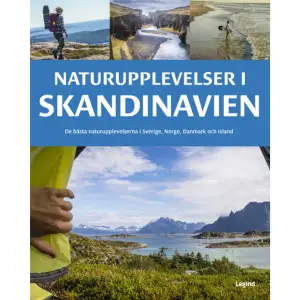 Naturupplevelser i Skandinavien visar vägen till en lång rad av Skandinaviens vackraste och intressantaste naturområden. Boken innehåller 700 tips på perfekta naturäventyr – från midnattssolen norr om polcirkeln till Danmarks bästa badstränder. Här kan du läsa om landskapstyper, djurliv och kulturhistoria och få förslag på friluftsaktiviteter, övernattningsmöjligheter och spännande lokala maträtter. Boken är den perfekta följeslagaren på en lyckad natursemester.• Både klassiska turer och utflykter bortom allfarvägarna• Vackra foton och intressanta beskrivningar • Vidsträckta skogar, öppna ängsmarker och fascinerande djurliv• Skandinaviens bästa stränder, varma källor, vattenfall och öar – med många tips på badmöjligheter• Vandringar och turer med cykel, kanot eller havskajak• Övernattningsmöjligheter – även med tält i det fria De bästa naturupplevelserna i Danmark, Norge, Sverige och IslandBoken är skriven av Ben Love, reseskribent och fotograf. Han har rest mycket i Skandinavien och har många års erfarenhet av friluftsliv och naturresor.    Format Flexband   Omfång 265 sidor   Språk Svenska   Förlag Legind A/S   Utgivningsdatum 2021-03-08   Medverkande Johanna Holmberg   ISBN 9788771559965  