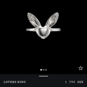 Lovers ring Maria Nilsdotter - Sååå cool och unik silverring!!! Smyckeslåda och skötelråd följs med köpet.❣️❣️Helt oanvänd och ringen är plomberad. Julklapp som tyvärr inte passade och hann ej returnera.❤️ Nypris: 1795kr❣️
