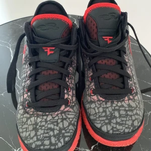 Basket skor  - LebronsX fazeclan 