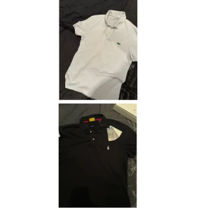 Lacoste x Ralph Lauren pikés - Båda för 400:-