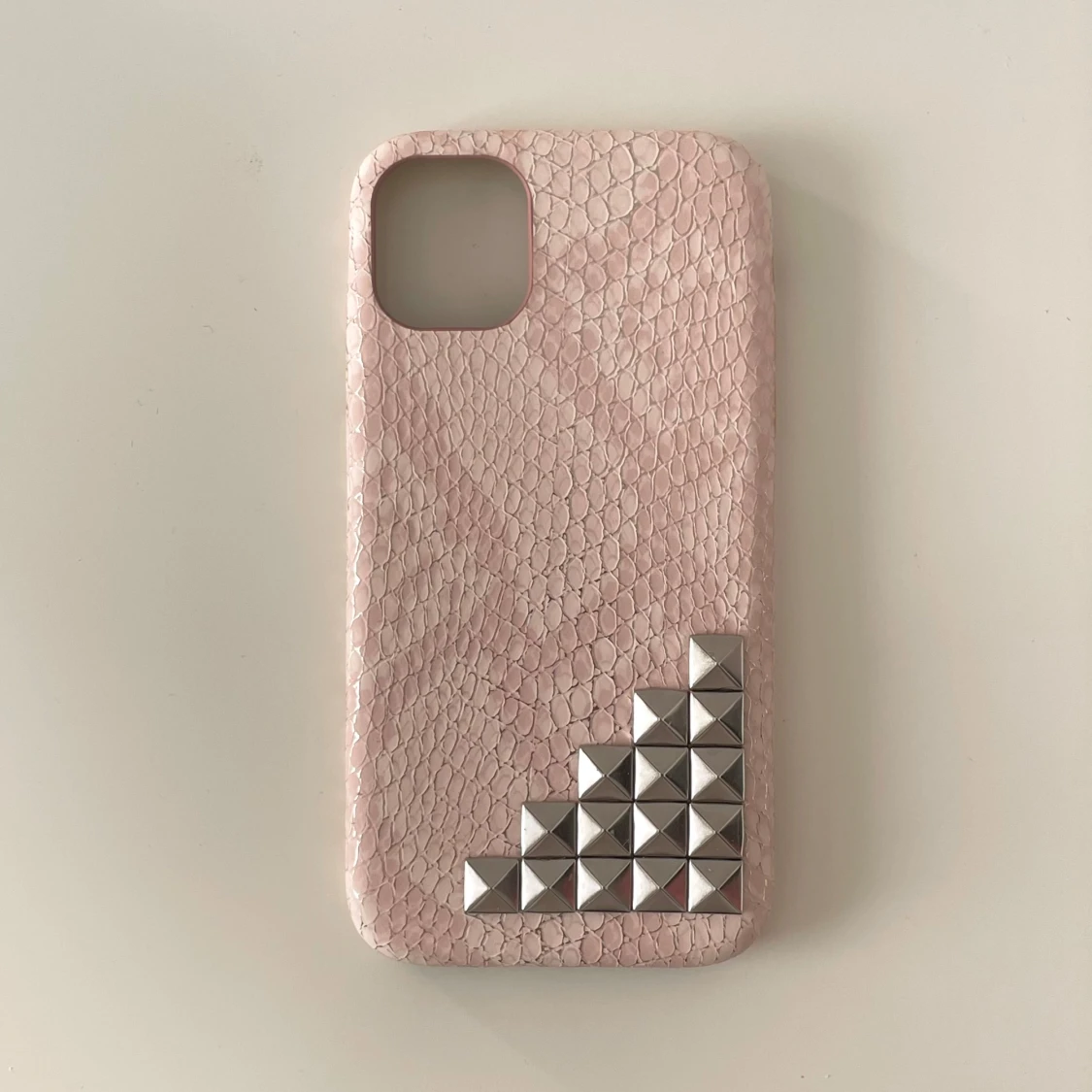 Rosa skal med nitarđ