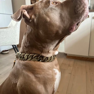 Guldfärgat hundhalsband och koppel från HDK LUX - Snyggt och robust hundhalsband med matchande koppel från HDK LUX. Halsbandet har en kraftig kedjedesign och kopplet är fäst med en säker spänne.  Halsbandets längd: 55,8cm x 32mm Kopplets längd: 60cm x 32mm Färg: Champagne guld  Fint skick! 