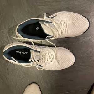  asics nerburner ballistic FF storlek 42          - Säljer mina nya inneskor använt dom två träningar men passar inte min fot. Inköpta 30/8/24 för 1500 men säljer dom nu för 1000 inge frakt hämtas i Nykvarn kan mötas Södertälje också 