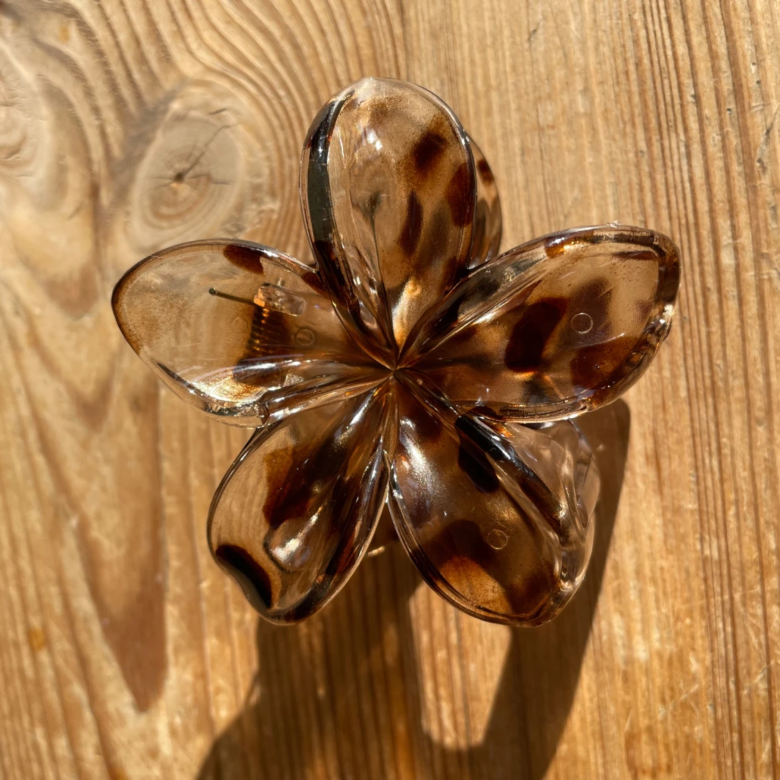 Leopard klämma - 91