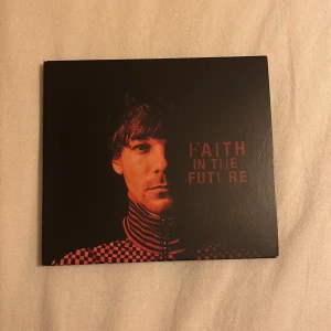 Louis Tomlinson CD skiva - Louis Tomlinson vd skiva. Aldrig använt den då jag mest haft den som prydnad 