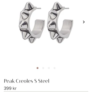 Edblad örhängen - Säljer mina snygga Edblad örhängen då jag har två par, dem är i nyskick. Nypris 399💘