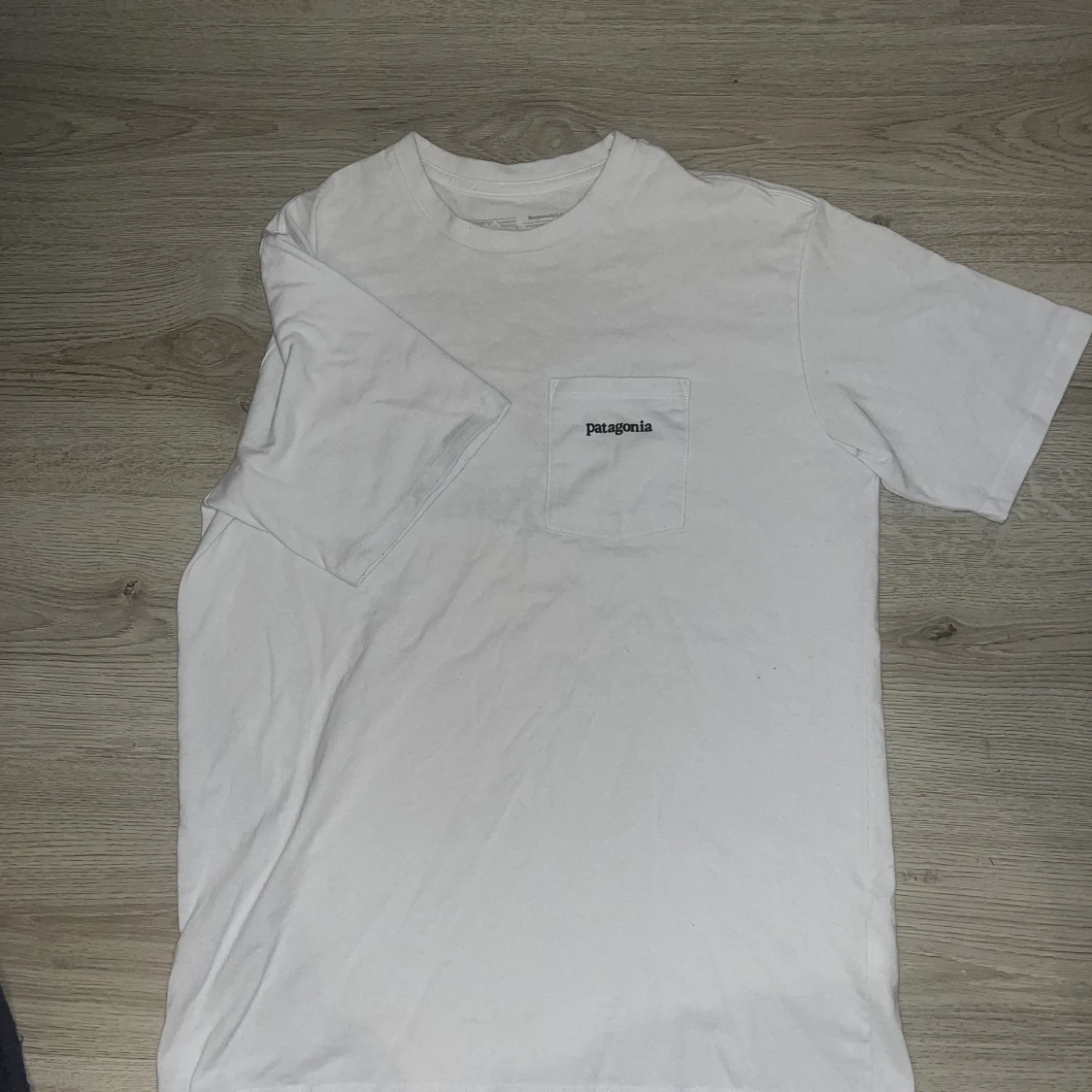 Patagonia t-shirt