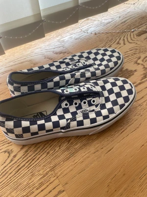 Rutiga vans - Ett par rutiga vans is stolek 38. De är i bra skick förutom att det finns en grön fläck på skon då det har råkats spilla vatten färg. Rutorna är mörkblåa och skon är plattform.