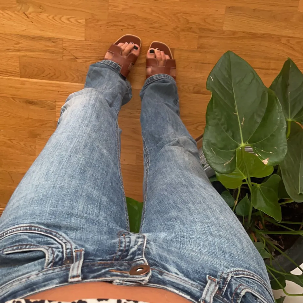 Säljer mina favvo lågmidjade jeans då de blivit försmå:/ långa i benen och ganska stretchy!!. Jeans & Byxor.