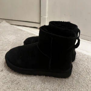 SVARTA UGGS - svarta uggs mini, använda ett fåtal gånger, storlek 37, nypris 2000kr