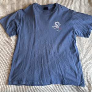 Väldigt snygg stussy t-shirt i en sjukt fin blå färg