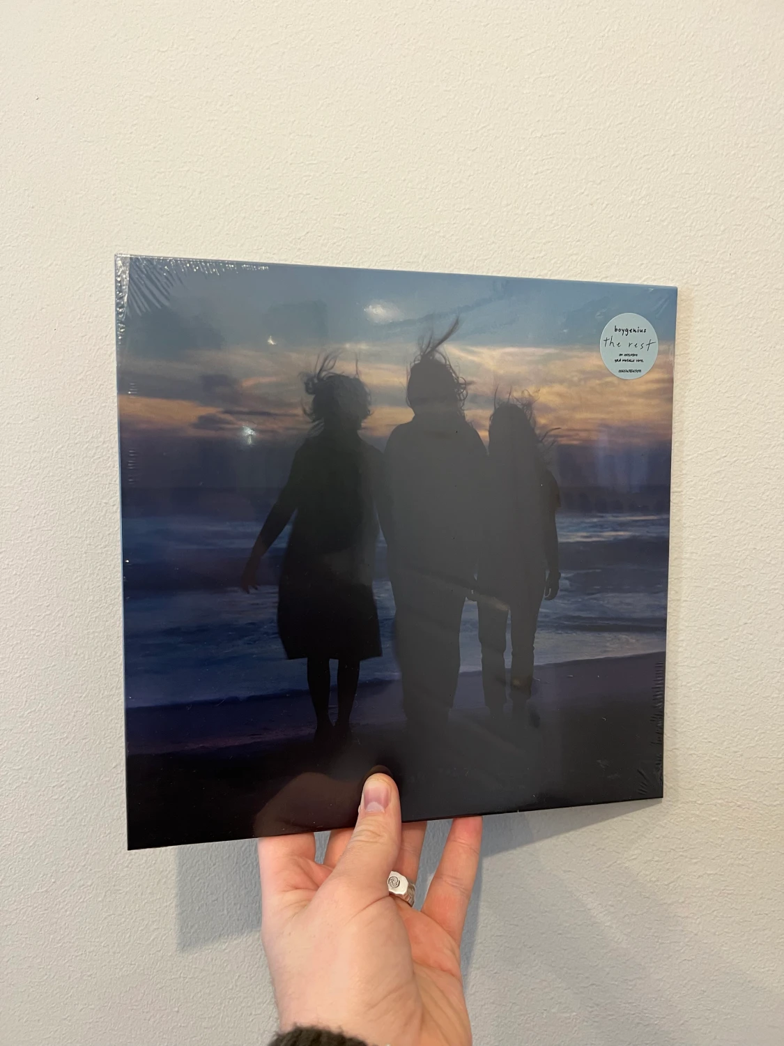 BOYGENIUS - THE REST 10” VINYLSKIVA