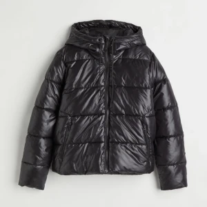 Dunjacka  - Säljer nu min vinterjacka då jag inte känner att den är min stil längre, finns färgfläckar på insidan av jackan som borde gå bort om man tvättar den, man annars väldigt fin. 