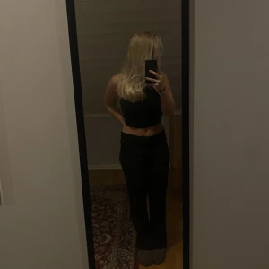 Topp från Zara - Topp från zara, som nyskick, storlek L men sitter som S 