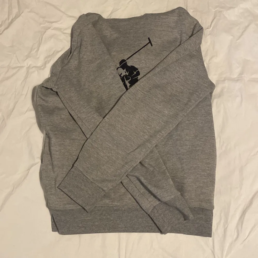 Polo Ralph lauren hoodie i grå färg. Storlek M Fint tryck, är i 9/10 i skick. Ovanlig modell sitter lite tight i storleken.. Hoodies.