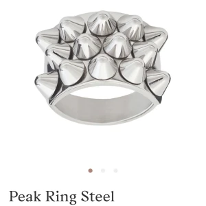 Edblad ring  - Säljer min nit ring från Edblad som jag köpte för 2 månader sen! Använd 4 gånger så i väldigt bra skick❤️