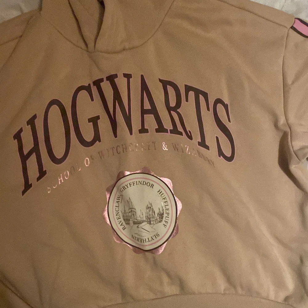 En tröja med luva med Hogwarts text på,Har haft på den 1 gång. Hoodies.