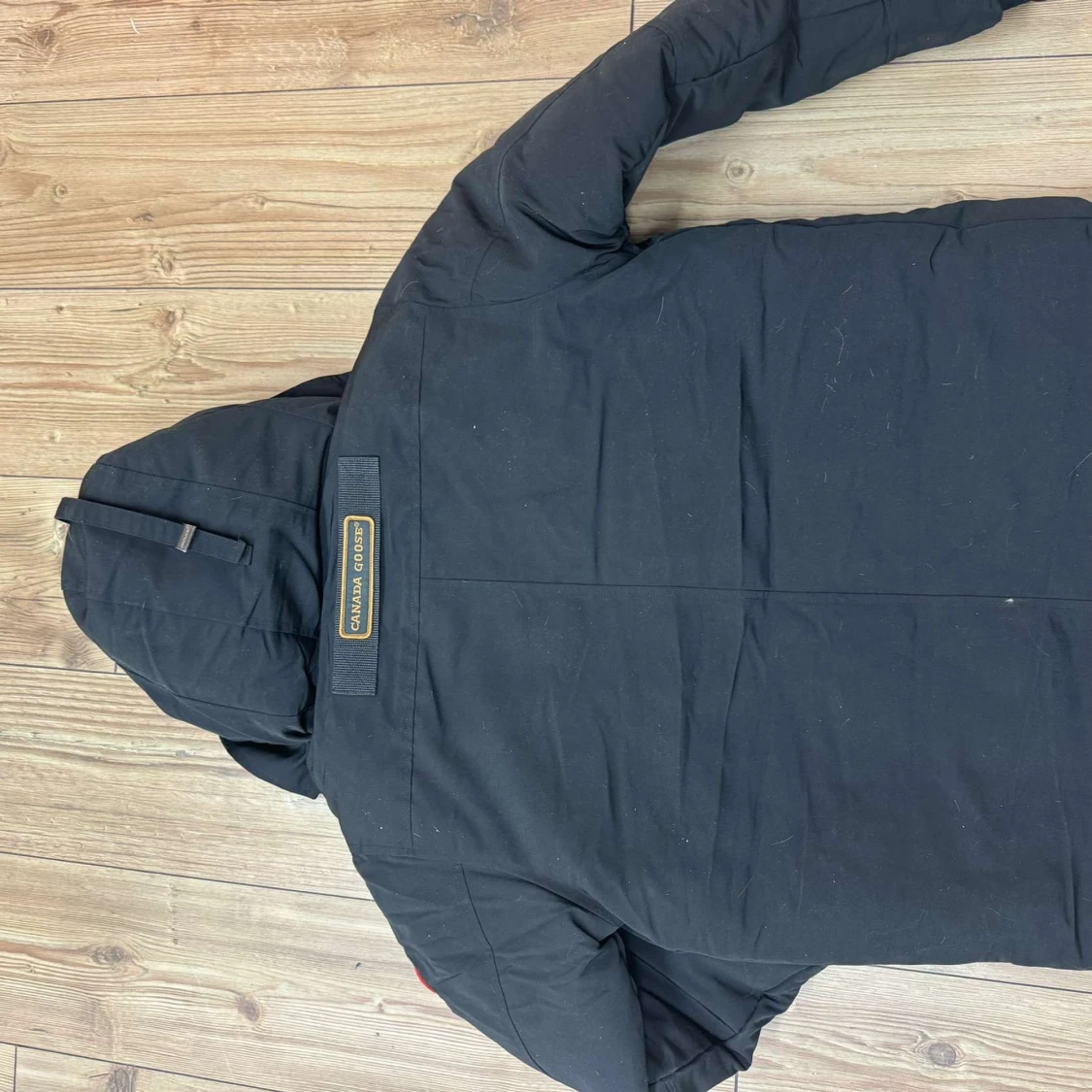 Canada goss  - 91