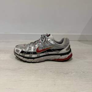 Nike skor storlek 41