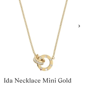 guld edblad halsband - säljer för att jag inte passar i guld, superfint och väldigt bra skick använt 1 gång, köpte för cirka 500 i butik