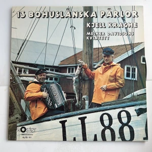 Vinylskiva - (Köp 5 stycken vinylskivor för 100kr!)🔥