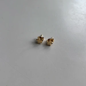 Syster p örhängen - Silver i guldplätering