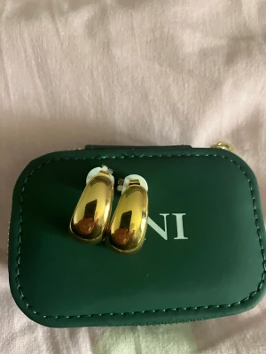 Ani jewles  - Säljer dessa helt oanvända örhängen från ani. 300