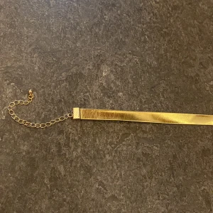 Choker - Guldig Choker i bra skick. Den är använd få gånger och är i bra skick! Kontakta vid frågor💛