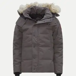 REPS! 1:1 Canada Goose 