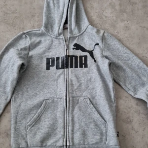 Huvtröja Puma - En grå Puma huvtröja, barn storlek 152, 7 av 10.