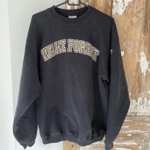 Vintage college tröja  - Snygg tröja köpt second hand men i bra skick! Passar storlek M-L, sitter lite oversized. Säljer för 300kr+frakt(66kr)