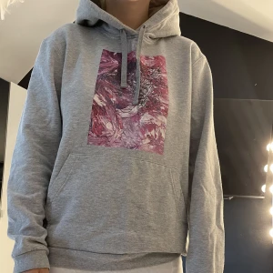 Drunk elephant hoodie - En jätte fin grå hoodie från drunk elephant
