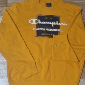 Sweatshirt - Snygg oanvänd sweatshirt från Champion. 