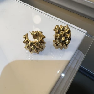 Edblad örhängen  - Säljer pga av att jag råka beställa fel. Använda 1 gång❤️ Nypris 450kr