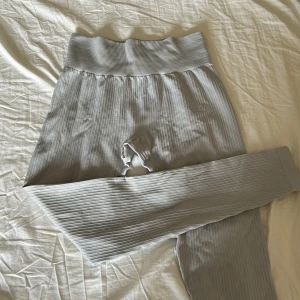 Iciw träningstights - Fina gråa ribbade träningstights från iciw. De är varsamt använda och säljs då jag inte får användning av dem. 