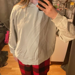 Mint Green hoodie  - Lite använd