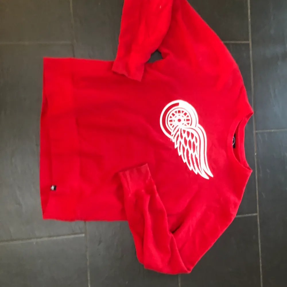 Röd sweatshirt med Detroit Red Wings loggan på, skön att ha på sig, använd få gånger. Tröjor & Koftor.