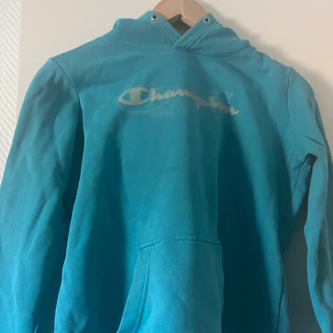Champion hoodie