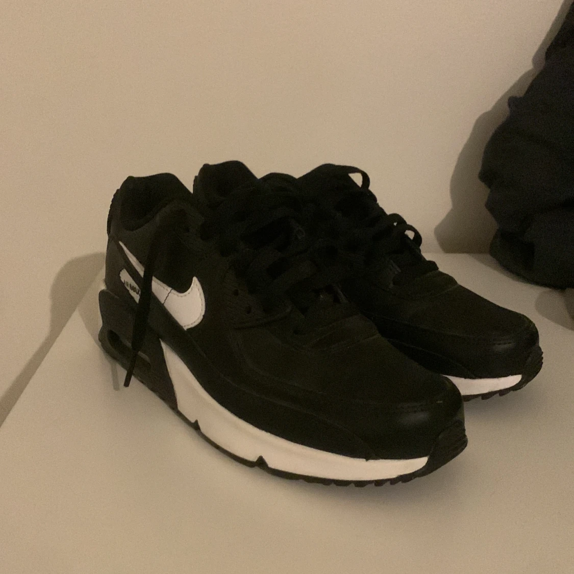 Endast provade nike air max - 91