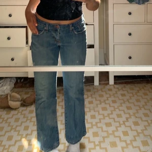 Levis jeans - Lågmidjade Levis jeans i modellen 529 (säljs inye längre) 