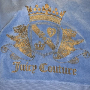 Juicy tröja  - Juicy couture kofta i färgen ljusblå. Den här skador vid handen som inte syns när den sitter på. Pris kan diskuteras💕
