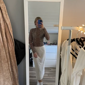 Tröja  - En lite mer långärmad genomskinlig tröja. Andvänt en gång och inte mer efter det. Ganska tunn och luftig.